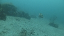 SEICHE, CRABE
