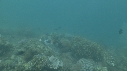 SEICHE, PLONGEUR, MIROIR