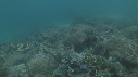 SEICHE, PLONGEUR, MIROIR