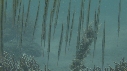 POISSONS RASOIR