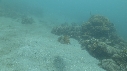 SEICHE, CRABE