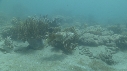 SEICHE, CRABE