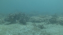 SEICHE, CRABE