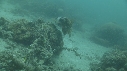 SEICHE