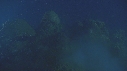 CORAIL, PONTE