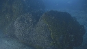 CORAIL, PONTE
