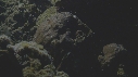 CORAIL, PONTE