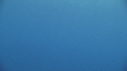 RAIE MANTA