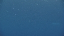 RAIE MANTA