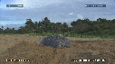 TORTUE LUTH