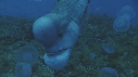 BUMPHEAD, MEDUSES MOON