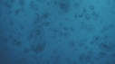 MEDUSES MOON