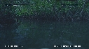 MANGROVE
