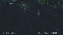 MANGROVE