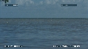 PERIOPHTALMUS