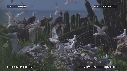 MOUETTES, STERNES, FREGATES