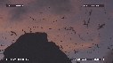 FREGATES, MOUETTES