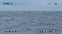 BALEINE A BOSSE