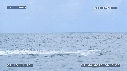 BALEINE A BOSSE