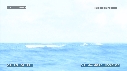 BALEINE A BOSSE