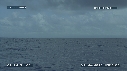 MER, BALEINE A BOSSE