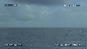 MER, BALEINE A BOSSE