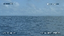 MER, BALEINE A BOSSE