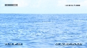 BALEINE A BOSSE