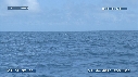 MER, BALEINE A BOSSE