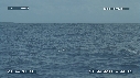 MER