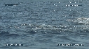 MER