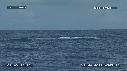 BALEINE A BOSSE