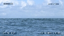 BALEINE A BOSSE