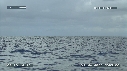 MER