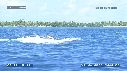 BALEINE A BOSSE, BALEINEAU, ILE