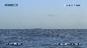 BALEINE A BOSSE
