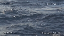 MER