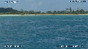 BALEINES, BALEINEAU, ILE