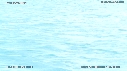 BALEINES, BALEINEAU, ILE