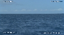 BALEINE A BOSSE