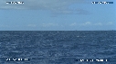 BALEINE A BOSSE