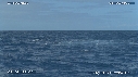 BALEINE A BOSSE