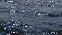 MER