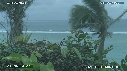 CAMELEON, ILE