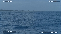 BALEINES A BOSSE, BALEINEAU, ILE
