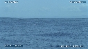 BALEINE A BOSSE