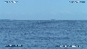 MER