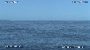 BALEINE A BOSSE