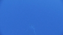 BALEINE, BALEINEAU