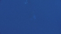 BALEINE, BALEINEAU